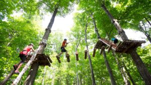 People using Treetop Obstacle Course